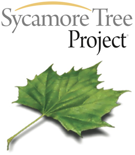 Sycamore Tree Project Logo